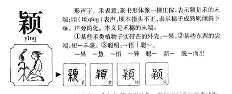 颖字五行|颖字的五行属什么